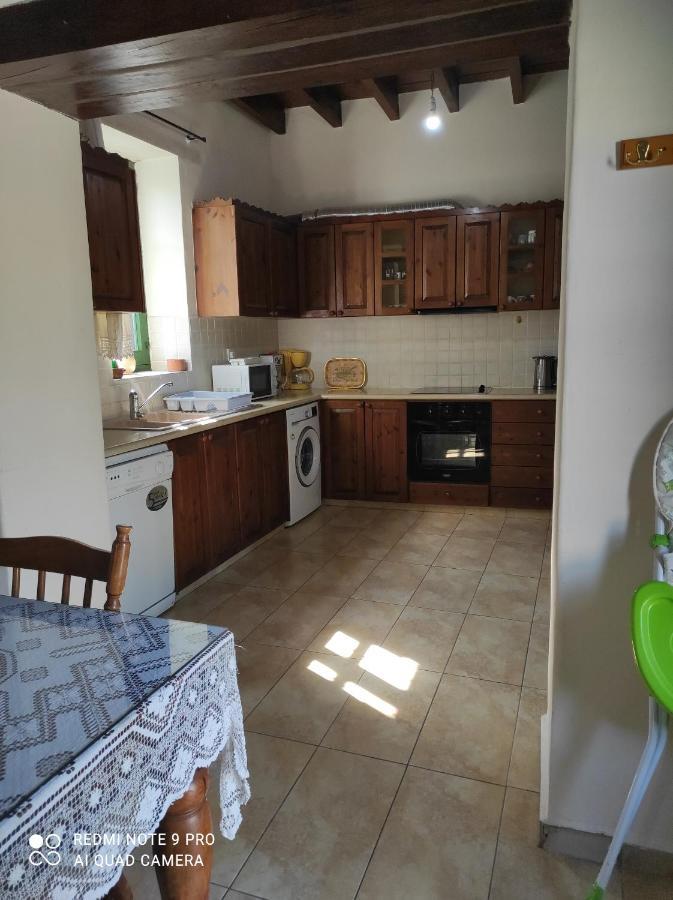 Andrianna'S Cottage Pano Akourdalia エクステリア 写真